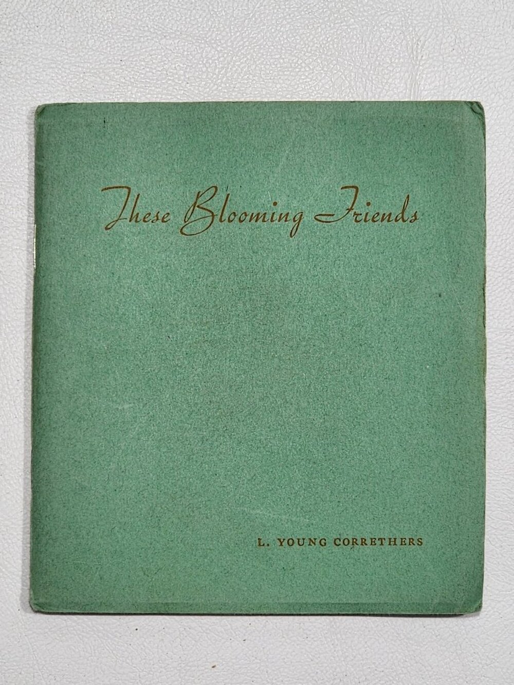 1ST ED These Blooming Friends: A Little Book of Blooming Scandal by Correthers